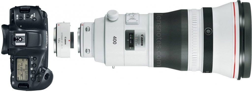 Canon EOS 1Dx Mark II Camera + EF 1.4x Extender + EF 400mm/f2.8 L IS Mark III Lens
