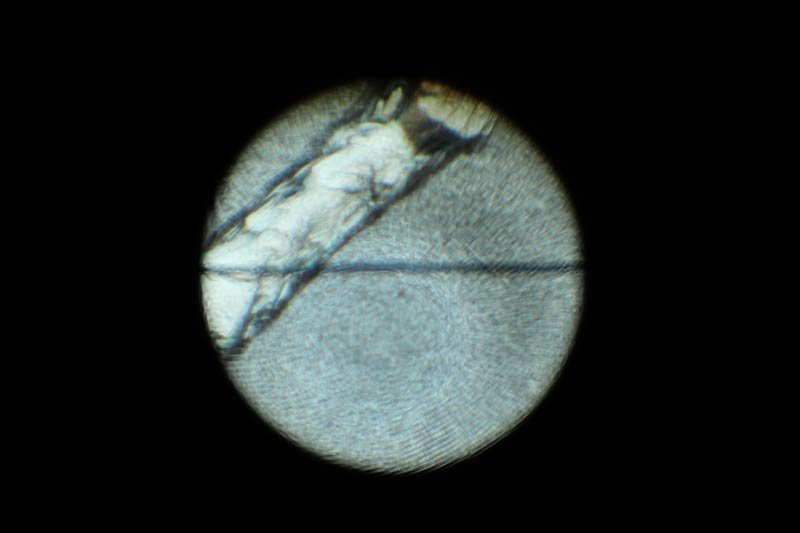 View of a negative through a grain focus finder